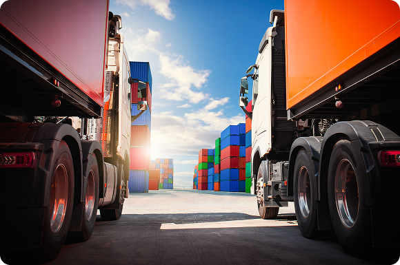 card2 background transporte